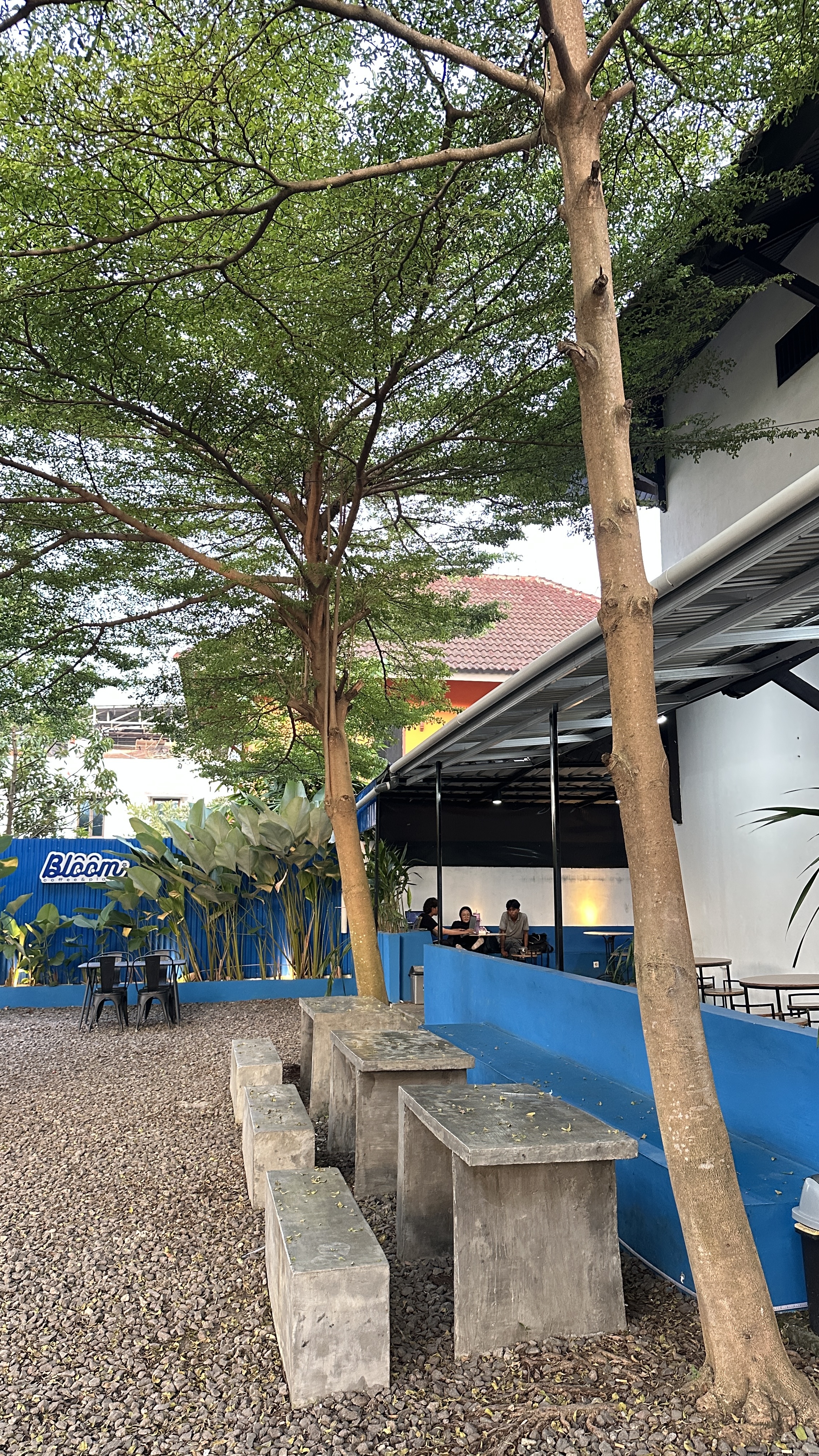 Barista Bloom Coffee & Place sedang menyajikan minuman dengan penuh keahlian
